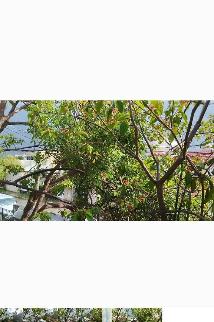 Apartment Beach Cat 3 Cancun